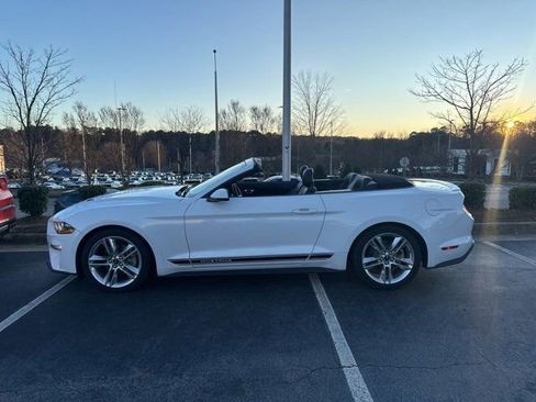 Used 2019 Ford Mustang Premium w/ Equipment Group 201A image 2