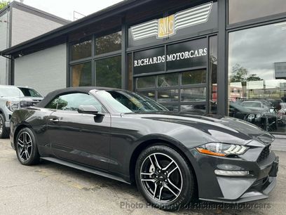 Used 2023 Ford Mustang Premium