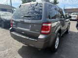 Used 2011 Ford Escape XLT image 5