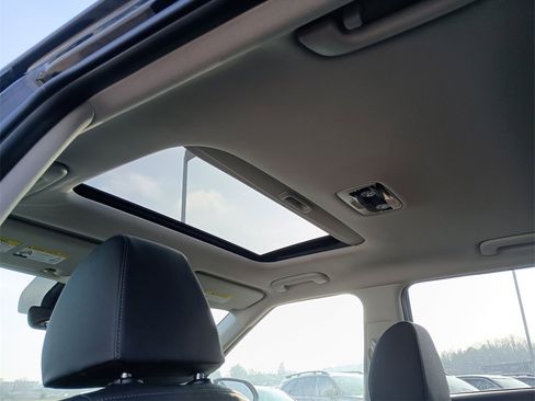 New 2026 Kia Seltos EX w/ EX Sunroof Package image 28