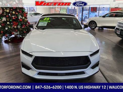 Used 2025 Ford Mustang Premium image 5