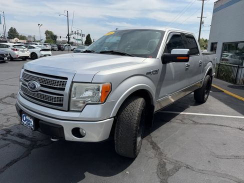 Used 2010 Ford F150 Platinum AWD/4WD image 3