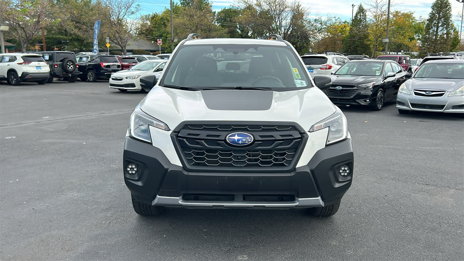 Certified 2024 Subaru Forester Wilderness AWD/4WD image 2