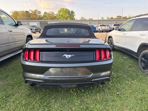 Used 2019 Ford Mustang Premium w/ Equipment Group 201A image 5