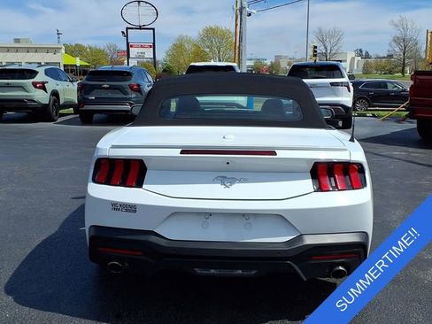 Used 2024 Ford Mustang Premium image 19