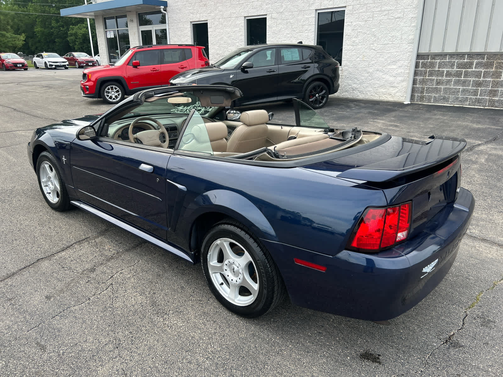 Used 2003 Ford Mustang Convertible RWD image 4