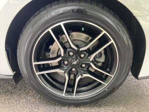 Used 2019 Ford Mustang GT Premium RWD image 7