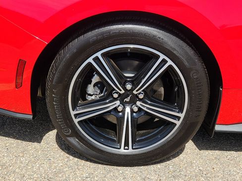 Used 2025 Ford Mustang Premium RWD image 8
