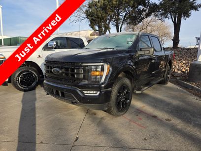 Certified 2023 Ford F150 XLT w/ Equipment Group 302A High