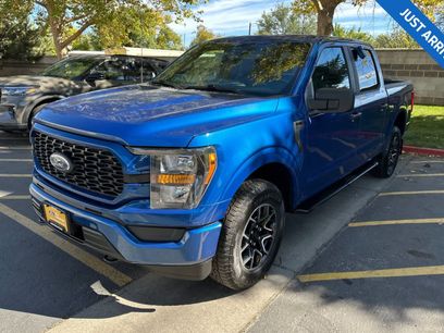 Certified 2023 Ford F150 XL w/ STX Appearance Package