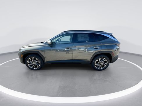 New 2026 Hyundai Tucson Limited image 5