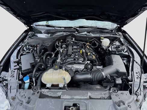 Used 2023 Ford Mustang Coupe w/ Equipment Group 101A image 30