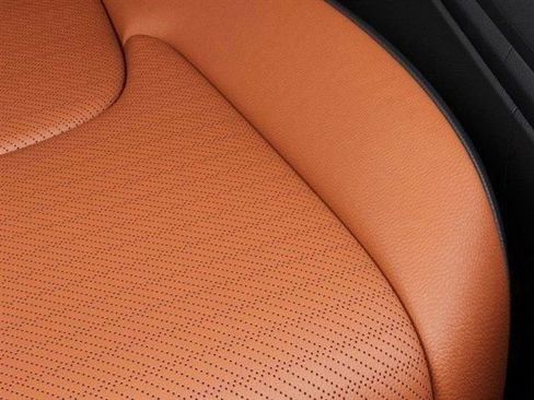 New 2026 Kia Carnival SX Prestige image 24