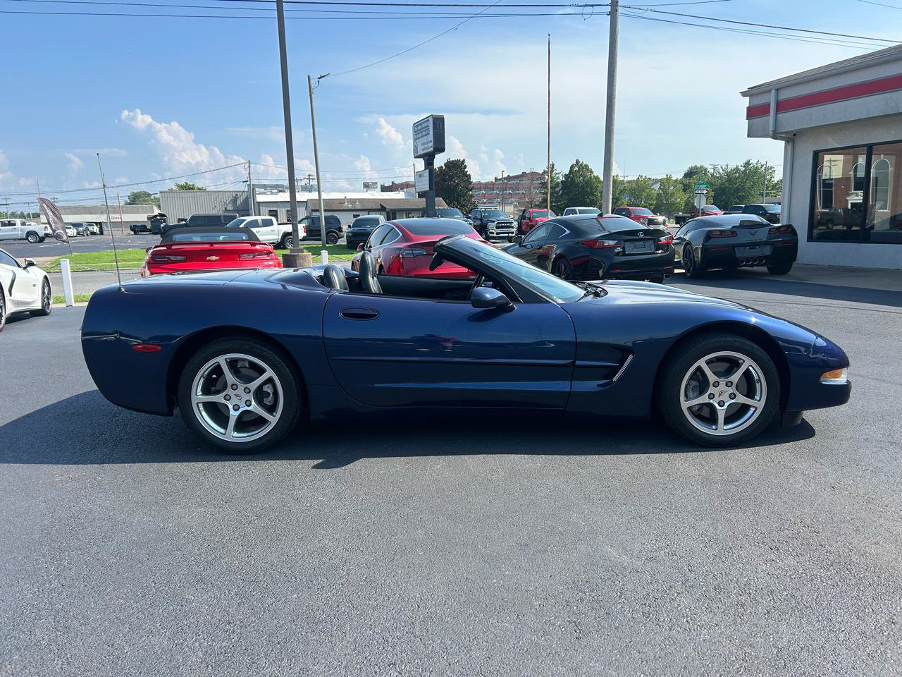 Used 2000 Chevrolet Corvette Convertible w/ Performance Handling Pkg RWD image 5