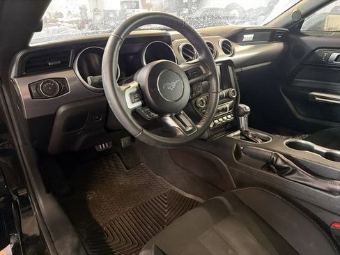 Used 2019 Ford Mustang Coupe w/ Equipment Group 101A image 8