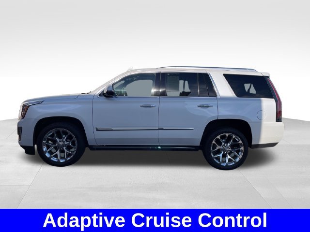 Used 2019 Cadillac Escalade Platinum AWD/4WD image 2