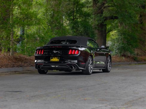 Used 2019 Ford Mustang Premium w/ Equipment Group 201A RWD image 47