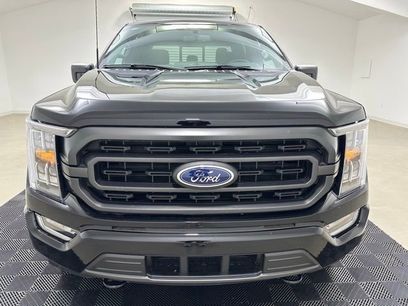 New 2023 Ford F150 XLT w/ Equipment Group 302A High