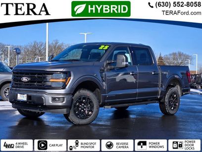 Used 2025 Ford F150 XLT w/ Equipment Group 301A Standard