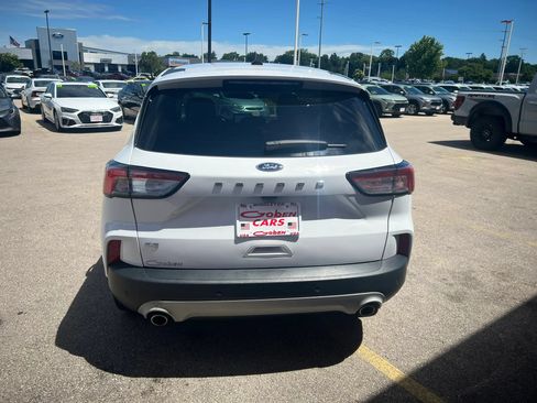 Used 2021 Ford Escape SE w/ Cold Weather Package FWD image 4
