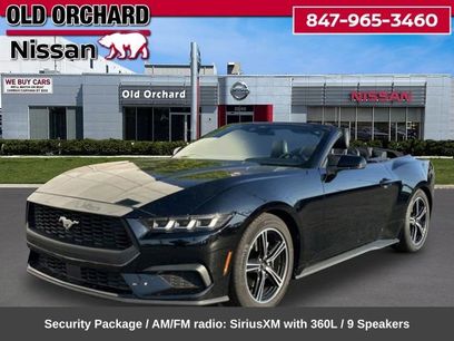Used 2024 Ford Mustang Premium