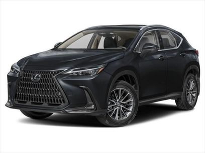 Certified 2023 Lexus NX 350 AWD w/ Cold Area Package