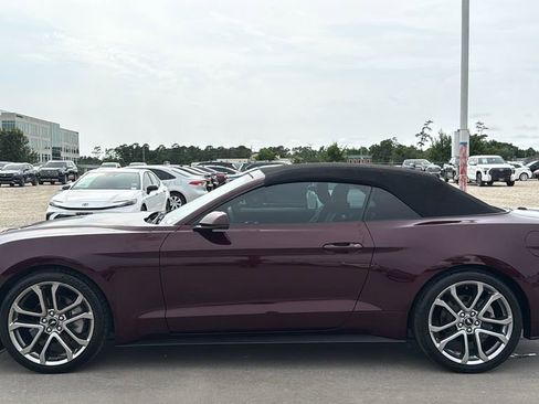 Used 2018 Ford Mustang Premium w/ Equipment Group 201A RWD image 2