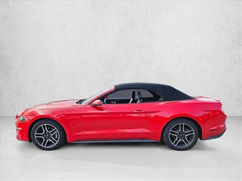 Used 2019 Ford Mustang Premium image 6