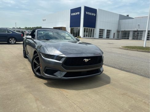 Used 2025 Ford Mustang Premium RWD image 2