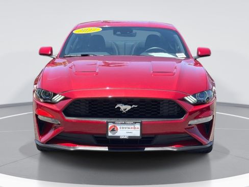 Used 2022 Ford Mustang Coupe w/ Equipment Group 101A RWD image 2