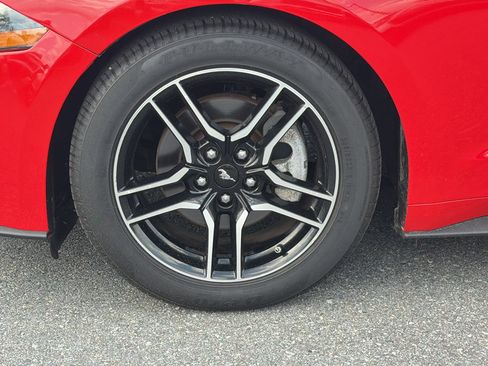 Used 2019 Ford Mustang Premium RWD image 34