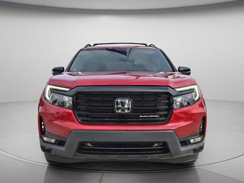 Used 2024 Honda Passport Black Edition image 5
