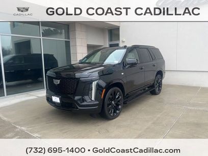 Certified 2026 Cadillac Escalade Platinum Sport