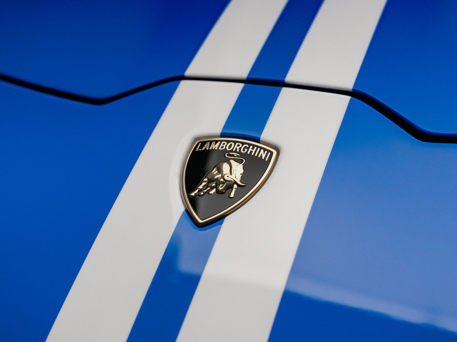 Used 2024 Lamborghini Huracan EVO AWD/4WD image 6
