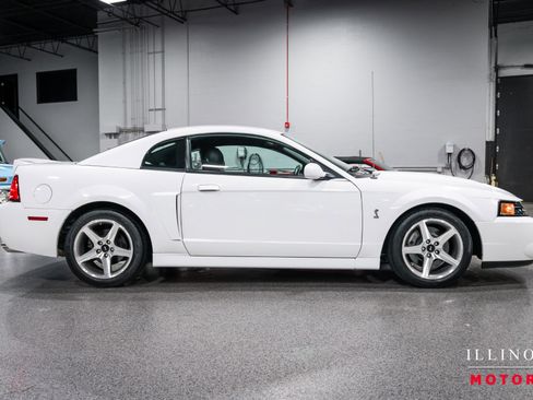 Used 2003 Ford Mustang Cobra image 6