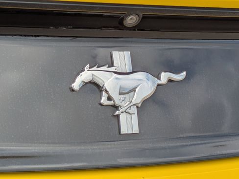 Used 2016 Ford Mustang V6 w/ Equipment Group 051A image 13