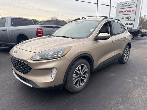 Used 2020 Ford Escape SEL image 1