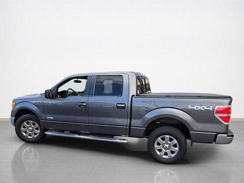 Used 2014 Ford F150 XLT w/ Equipment Group 302A Luxury image 7