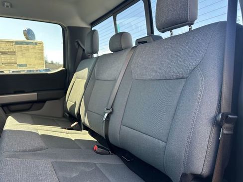 New 2026 Ford F150 XLT w/ Equipment Group 302A MID image 20