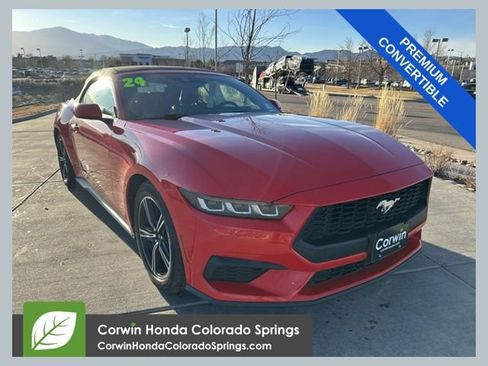 Used 2024 Ford Mustang Premium image 1