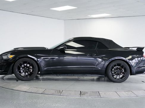 Used 2017 Ford Mustang Premium image 7