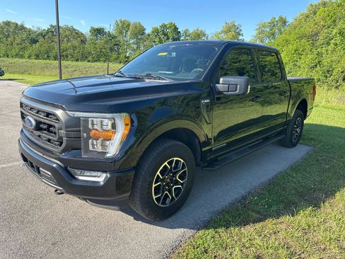 Used 2023 Ford F150 XLT w/ Equipment Group 302A High AWD/4WD image 3