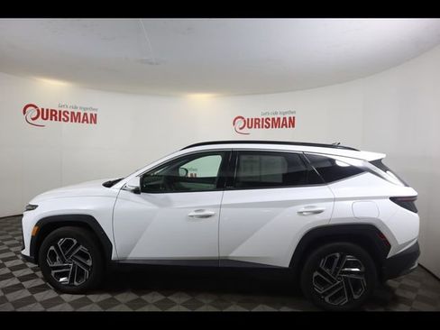Used 2025 Hyundai Tucson Limited AWD/4WD image 7