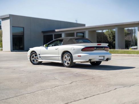 Used 2002 Pontiac Firebird Trans Am RWD image 2