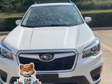 Used 2019 Subaru Forester Premium image 2