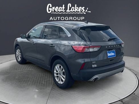Used 2020 Ford Escape SE AWD/4WD image 3