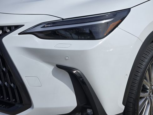 New 2026 Lexus NX 350h AWD w/ Luxury Package image 5