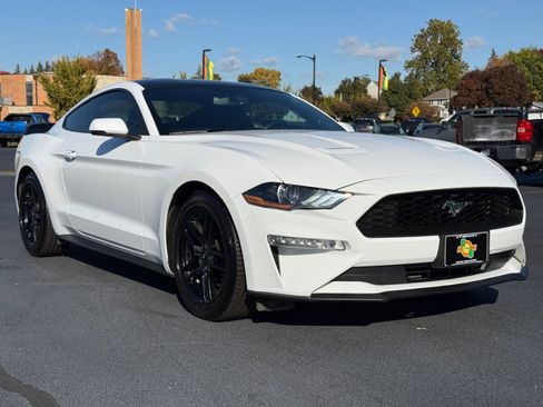 Used 2019 Ford Mustang Premium image 2