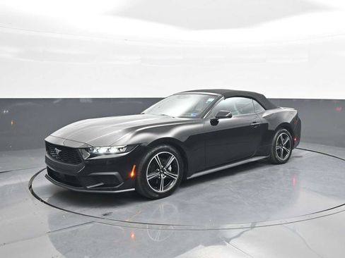 Used 2025 Ford Mustang Premium RWD image 4