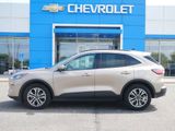 Used 2021 Ford Escape SEL w/ Equipment Group 302A image 2